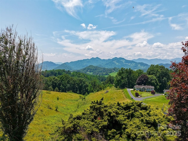 80 Gobblers Knob Dr, Clyde, NC 28721 - mountain view featuring a forest