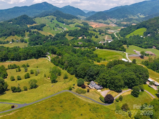 80 Gobblers Knob Dr, Clyde, NC 28721 - bird's eye view of mountains