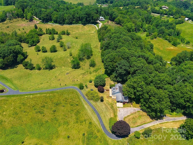 80 Gobblers Knob Dr, Clyde, NC 28721 - bird's eye view of a heavily wooded area