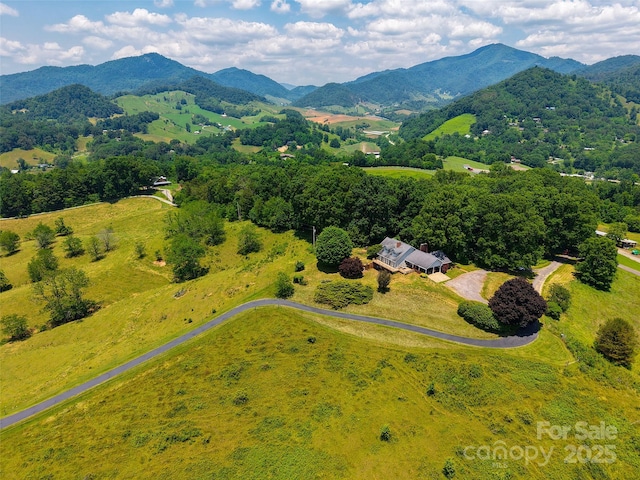 80 Gobblers Knob Dr, Clyde, NC 28721 - drone / aerial view of a mountain backdrop