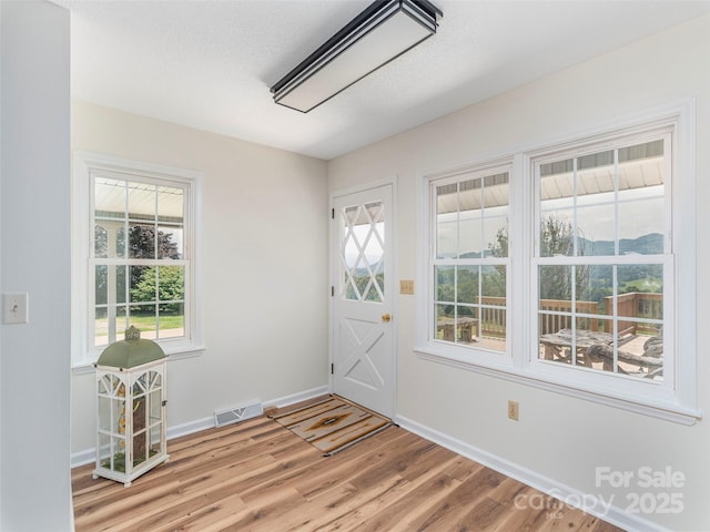 80 Gobblers Knob Dr, Clyde, NC 28721 - entryway featuring light wood-style floors and baseboards