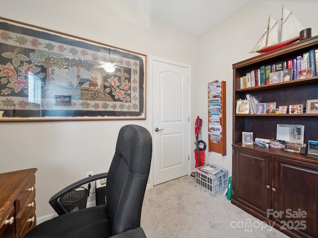 24604 Blue Heron Cir, Lancaster, SC 29720 - photo 21