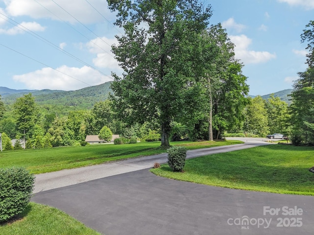 39 Catatoga Ln, Mills River, NC 28759 - photo 8