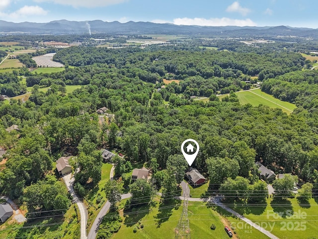 39 Catatoga Ln, Mills River, NC 28759 - photo 45