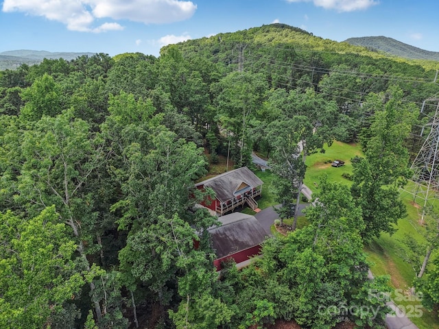 39 Catatoga Ln, Mills River, NC 28759 - photo 46