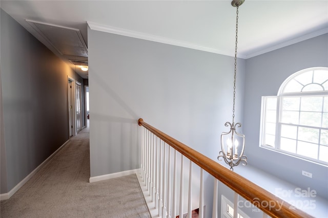 219 Harrowfield Hts, York, SC 29745 - hall with attic access, carpet floors, and ornamental molding