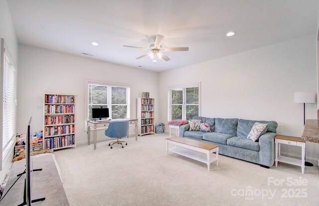 54 Mcintyre Dr, Asheville, NC 28803 - photo 47