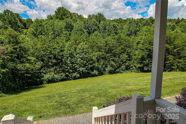 46 Spicewood Rd, Weaverville, NC 28787 - photo 36