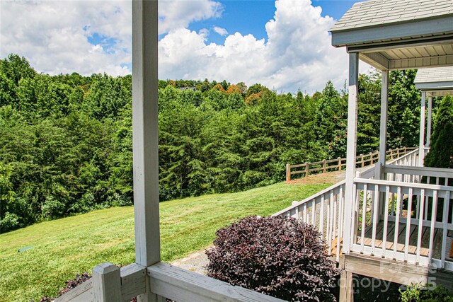 46 Spicewood Rd, Weaverville, NC 28787 - photo 37