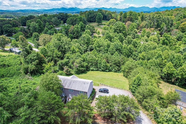 46 Spicewood Rd, Weaverville, NC 28787 - photo 47