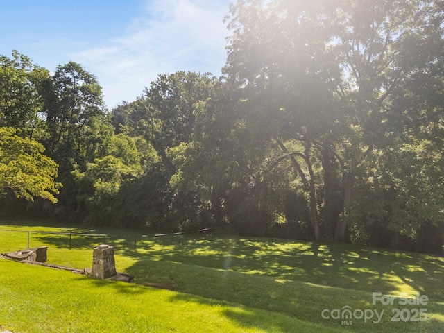 109 Short St, Waynesville, NC 28786 - view of yard with a wooded view