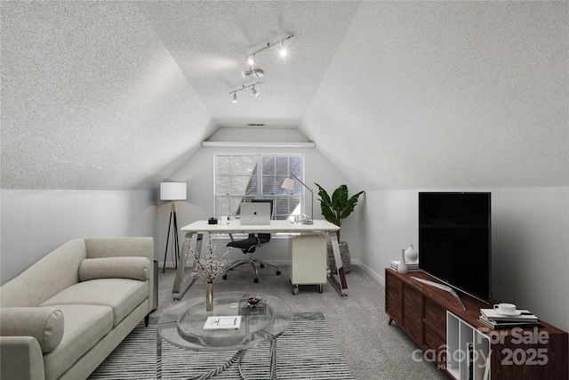 11407 Lenswood Ct, Charlotte, NC 28214 - office space featuring a textured ceiling, carpet flooring, track lighting, and lofted ceiling