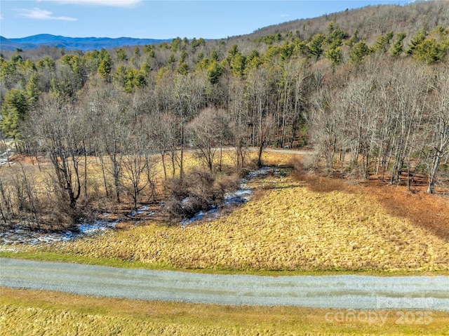36/94 Ebenezer Trl Unit 1And 3, Hendersonville, NC 28739