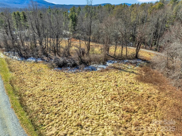 36/94 Ebenezer Trl Unit 1And 3, Hendersonville, NC 28739