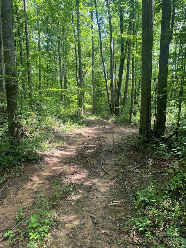 3288 Tatertown Loop Unit 2, Nebo, NC 28761