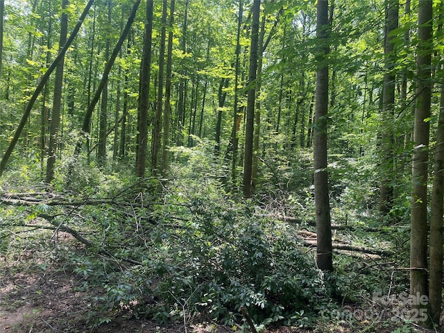 3288 Tatertown Loop Unit 2, Nebo, NC 28761