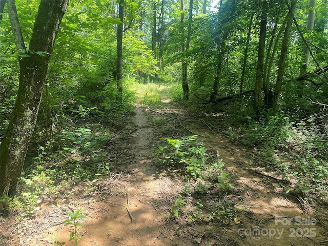 3288 Tatertown Loop Unit 2, Nebo, NC 28761