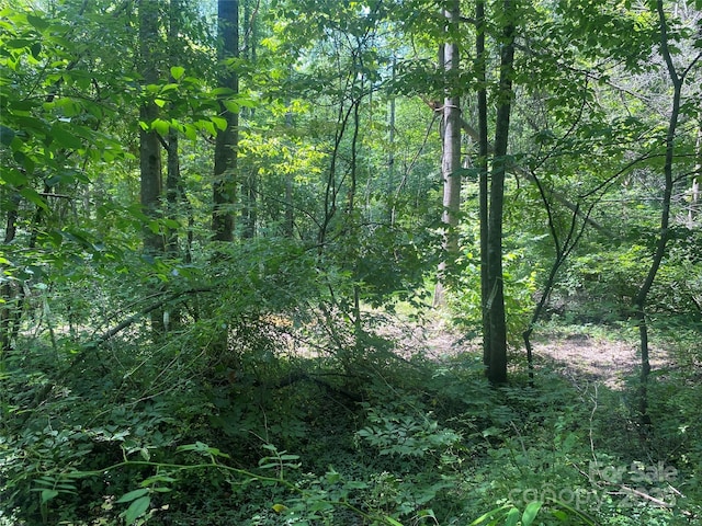 3288 Tatertown Loop Unit 2, Nebo, NC 28761