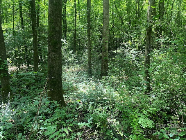 3288 Tatertown Loop Unit 2, Nebo, NC 28761