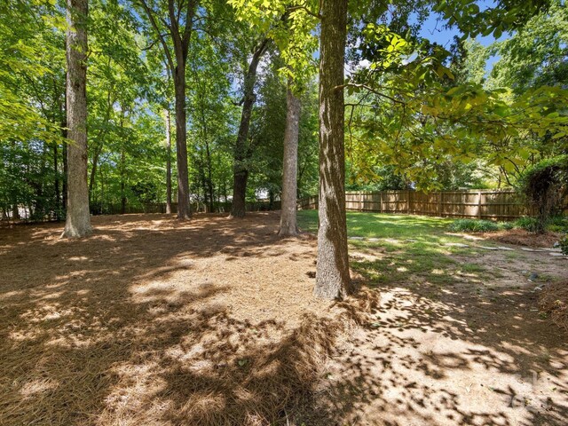 911 Munday Ct, Charlotte, NC 28270 - photo 34