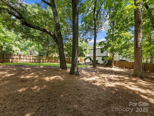 911 Munday Ct, Charlotte, NC 28270 - photo 35