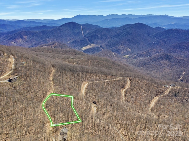 00 Tearshirt Ln Unit 308/309, Mars Hill, NC 28754