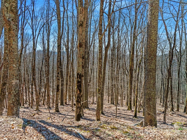 00 Tearshirt Ln Unit 308/309, Mars Hill, NC 28754