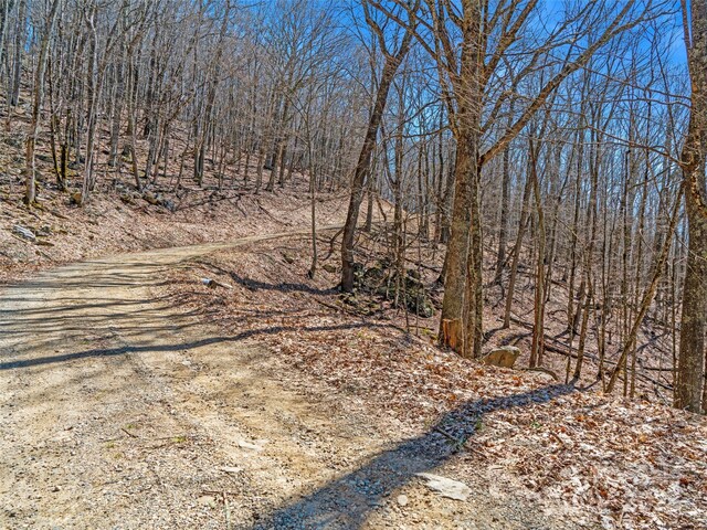 00 Tearshirt Ln Unit 308/309, Mars Hill, NC 28754