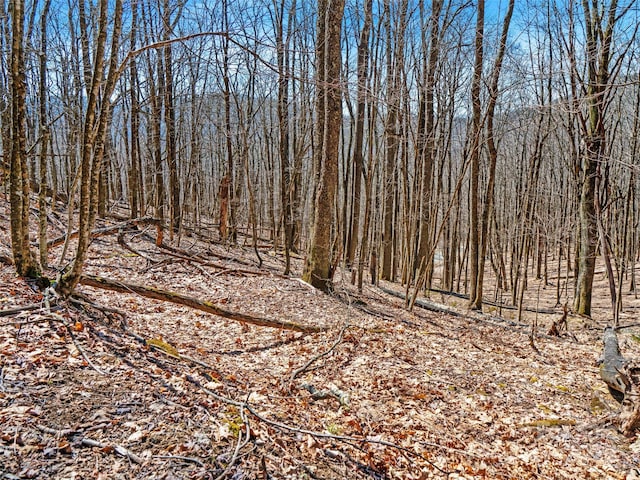 00 Tearshirt Ln Unit 308/309, Mars Hill, NC 28754
