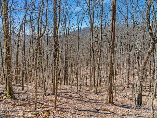 00 Tearshirt Ln Unit 308/309, Mars Hill, NC 28754