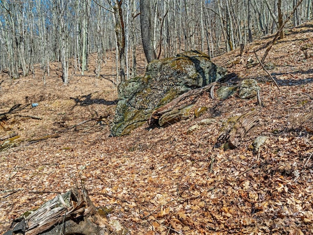 00 Tearshirt Ln Unit 308/309, Mars Hill, NC 28754