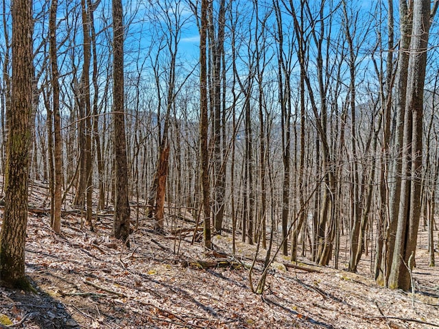 00 Tearshirt Ln Unit 308/309, Mars Hill, NC 28754
