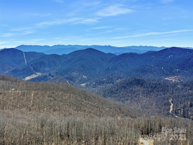 00 Tearshirt Ln Unit 308/309, Mars Hill, NC 28754