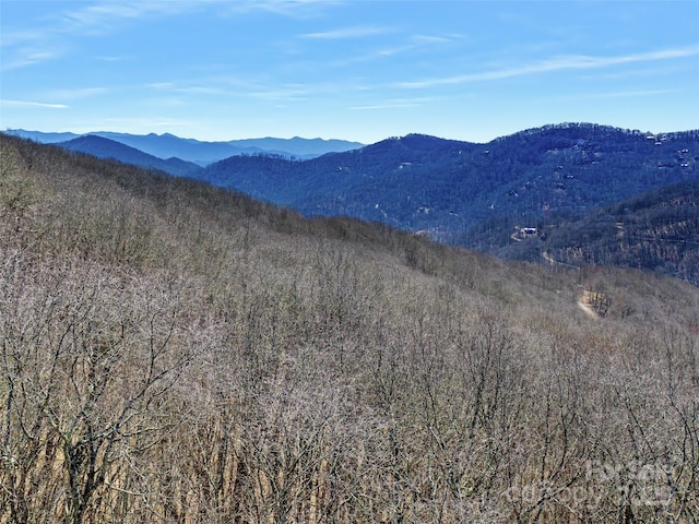 00 Tearshirt Ln Unit 308/309, Mars Hill, NC 28754