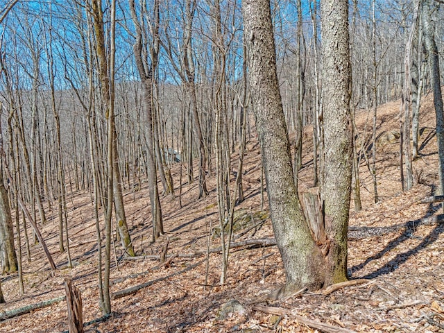00 Tearshirt Ln Unit 308/309, Mars Hill, NC 28754