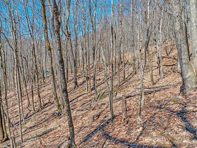 00 Tearshirt Ln Unit 308/309, Mars Hill, NC 28754