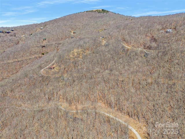 00 Tearshirt Ln Unit 308/309, Mars Hill, NC 28754