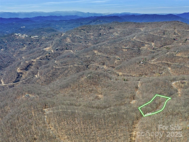 00 Tearshirt Ln Unit 308/309, Mars Hill, NC 28754