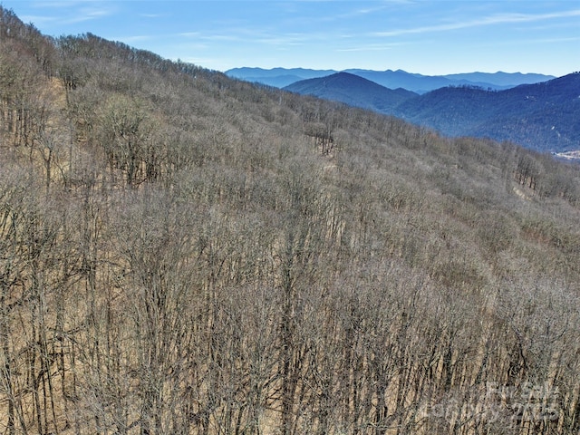00 Tearshirt Ln Unit 308/309, Mars Hill, NC 28754