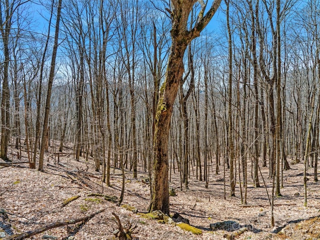 00 Tearshirt Ln Unit 308/309, Mars Hill, NC 28754