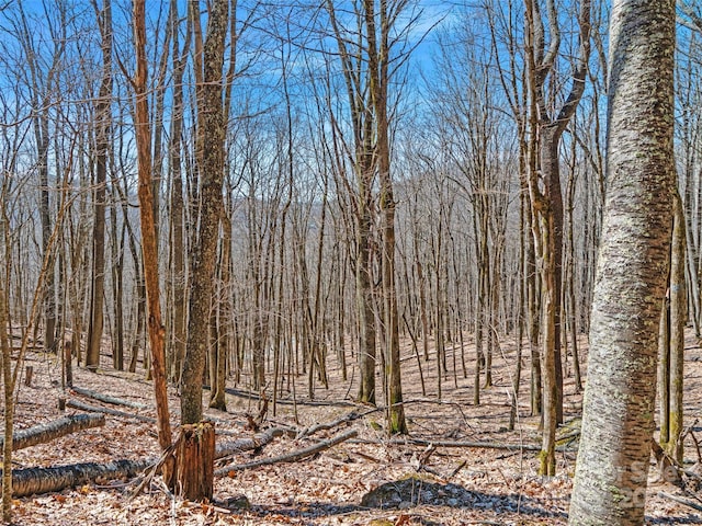00 Tearshirt Ln Unit 308/309, Mars Hill, NC 28754