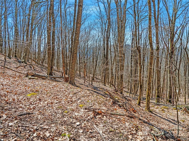 00 Tearshirt Ln Unit 308/309, Mars Hill, NC 28754