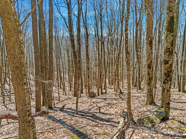 00 Tearshirt Ln Unit 308/309, Mars Hill, NC 28754