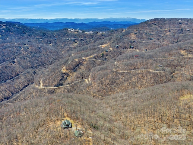 00 Tearshirt Ln Unit 308/309, Mars Hill, NC 28754