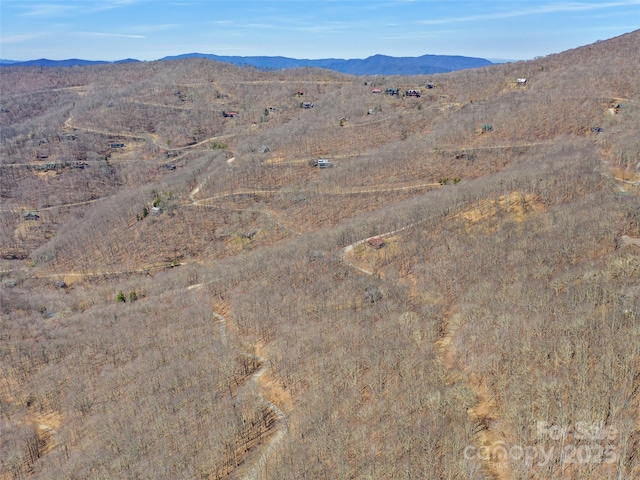 00 Tearshirt Ln Unit 308/309, Mars Hill, NC 28754