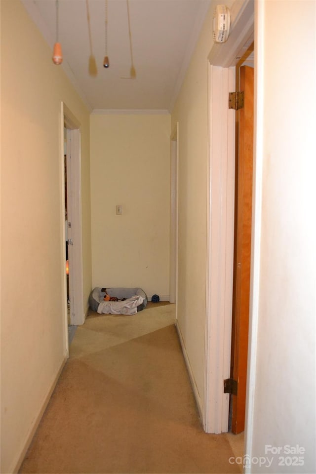 405 Wesley Heights Dr, Albemarle, NC 28001 - corridor featuring light colored carpet and crown molding