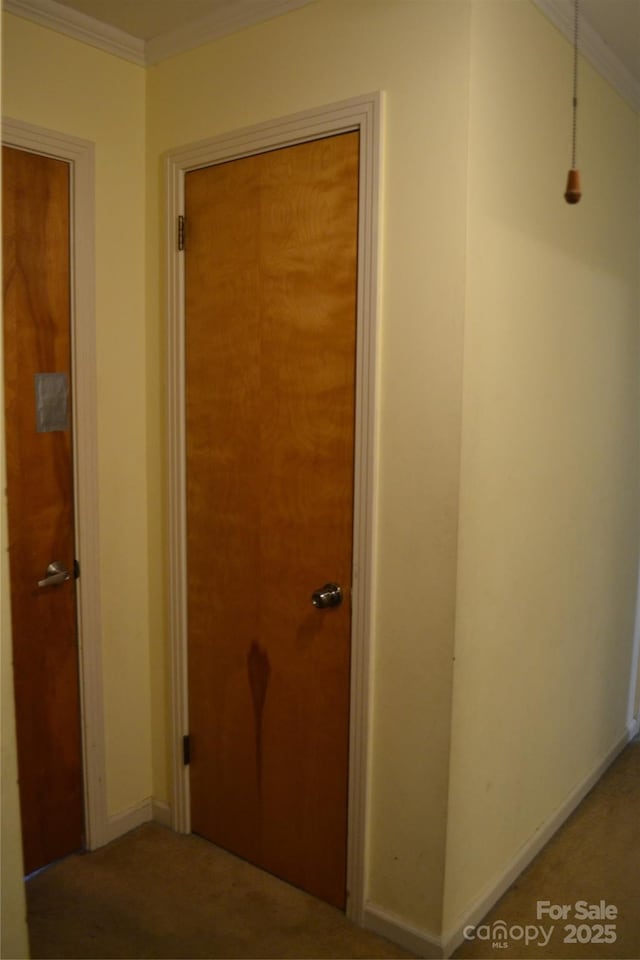 405 Wesley Heights Dr, Albemarle, NC 28001 - hall with carpet floors and ornamental molding
