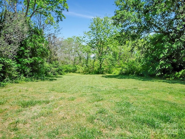 307 S Jacob St, Cherryville, NC 28021 - view of green lawn