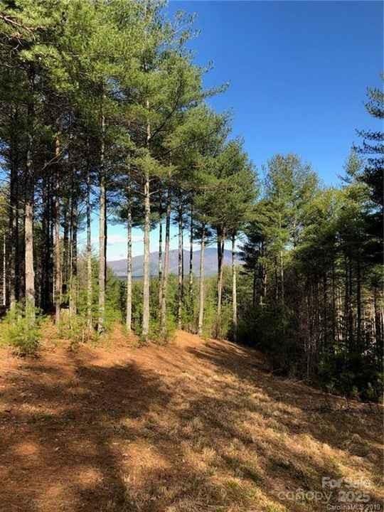 V/L Hunt Camp Dr Unit 59, Nebo, NC 28761