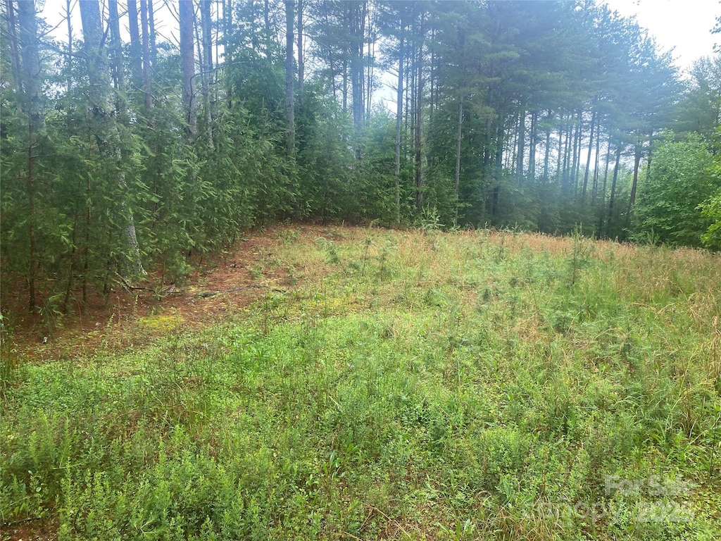 V/L Hunt Camp Dr Unit 59, Nebo, NC 28761